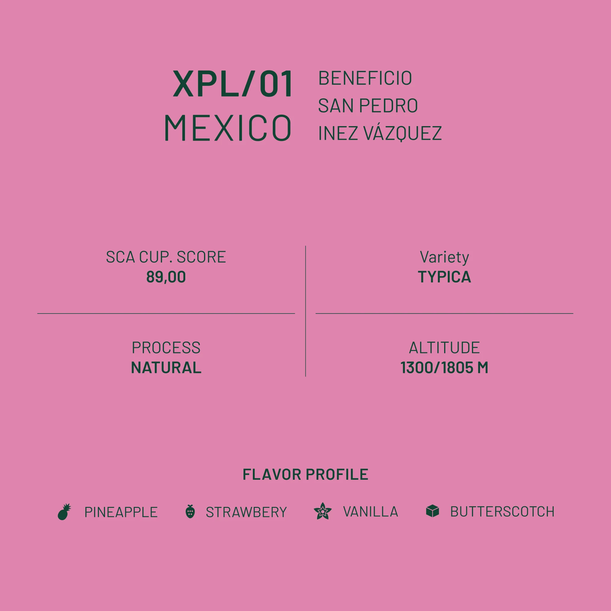 XPL/01 Mexico San Pedro Natural - Image 4